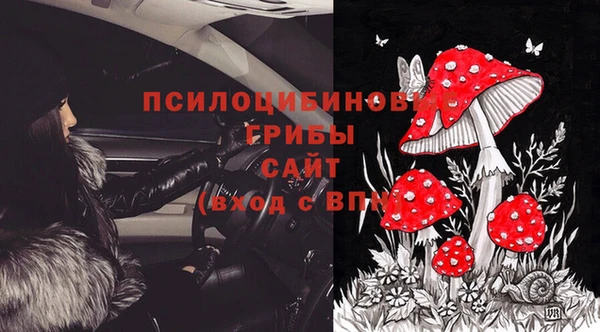 крисы Зеленокумск