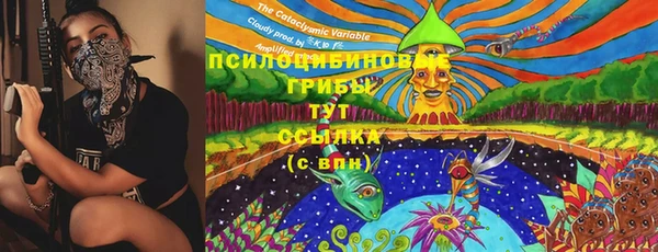 крисы Зеленокумск