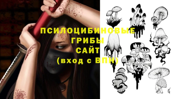 амф Зерноград