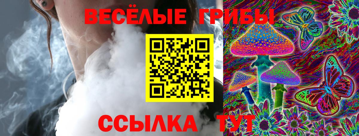 Псилоцибиновые грибы Psilocybe Братск