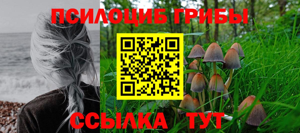 Псилоцибиновые грибы MAGIC MUSHROOMS  магазин  наркотиков  Братск  Псилоцибиновые грибы прущие грибы 